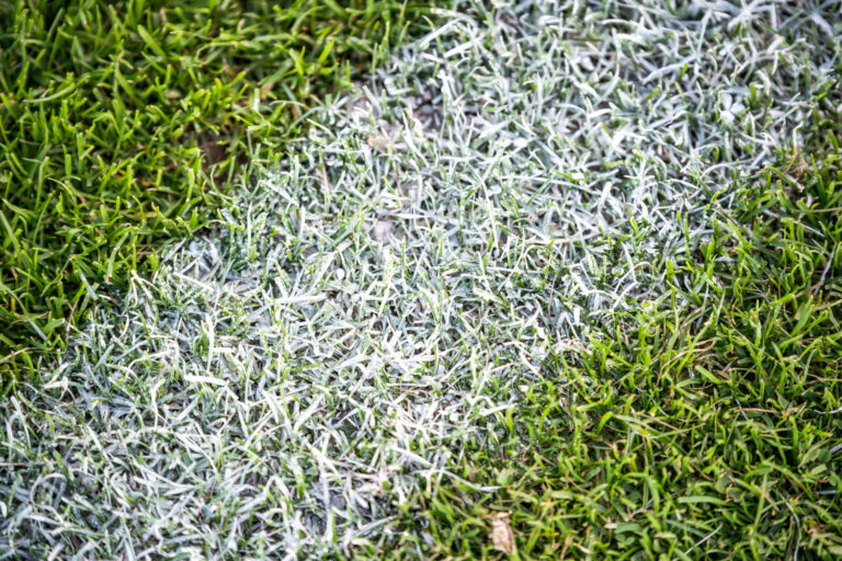 Tech Meets Turf: The Smartest Gear in Football